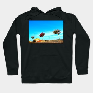 Flowering trees in Montecassiano Hoodie